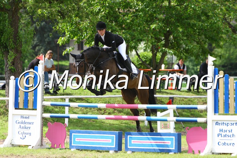 005M6526_Queenie_Springpferde L.JPG